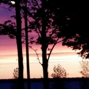 Meet your Posher, Jodi